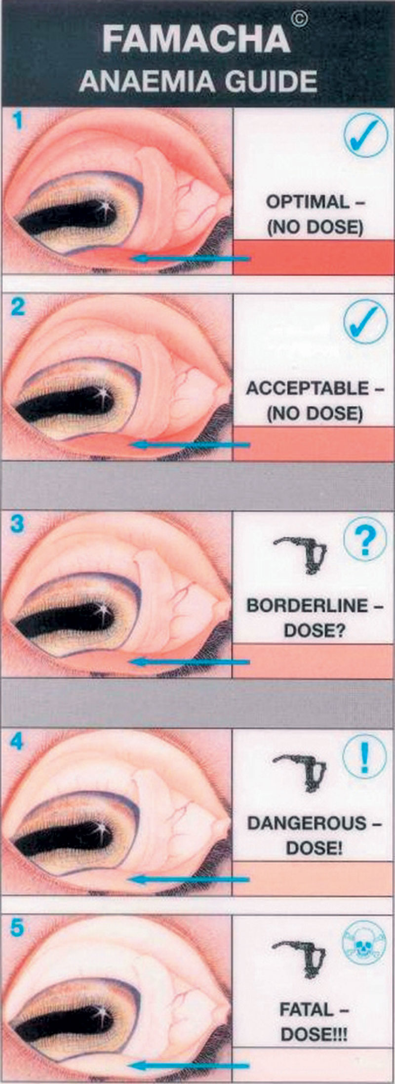 Goat Anemia Eye Chart