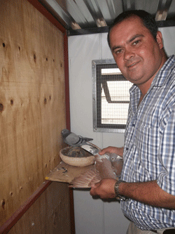 Mark Kitchenbrand with some of his chmapion pigeons. He is the only South African pigeon fancier to become a champion racer in Germany, after buying a German loft in 2011. PHOTO: THOMAS SMIT